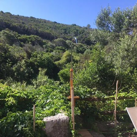 Studio Naturiste Ile Du Levant N1 Ideal Acces Mer Apartment